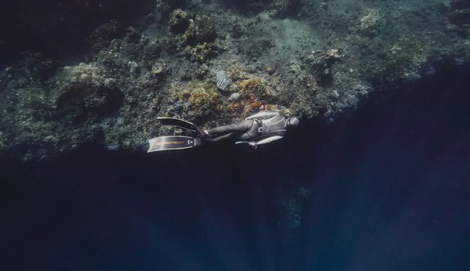 Best Canary Island for Diving: All 7 Islands Compared